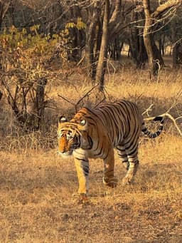 Ashok Ranga Rajan photo 3