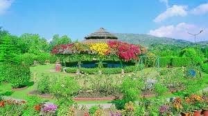 Jaipur, Jodhpur, Mount Abu