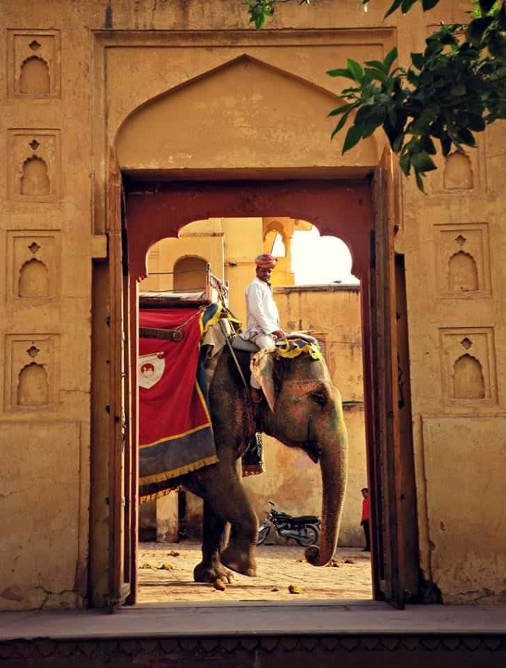 Rajasthan offer background