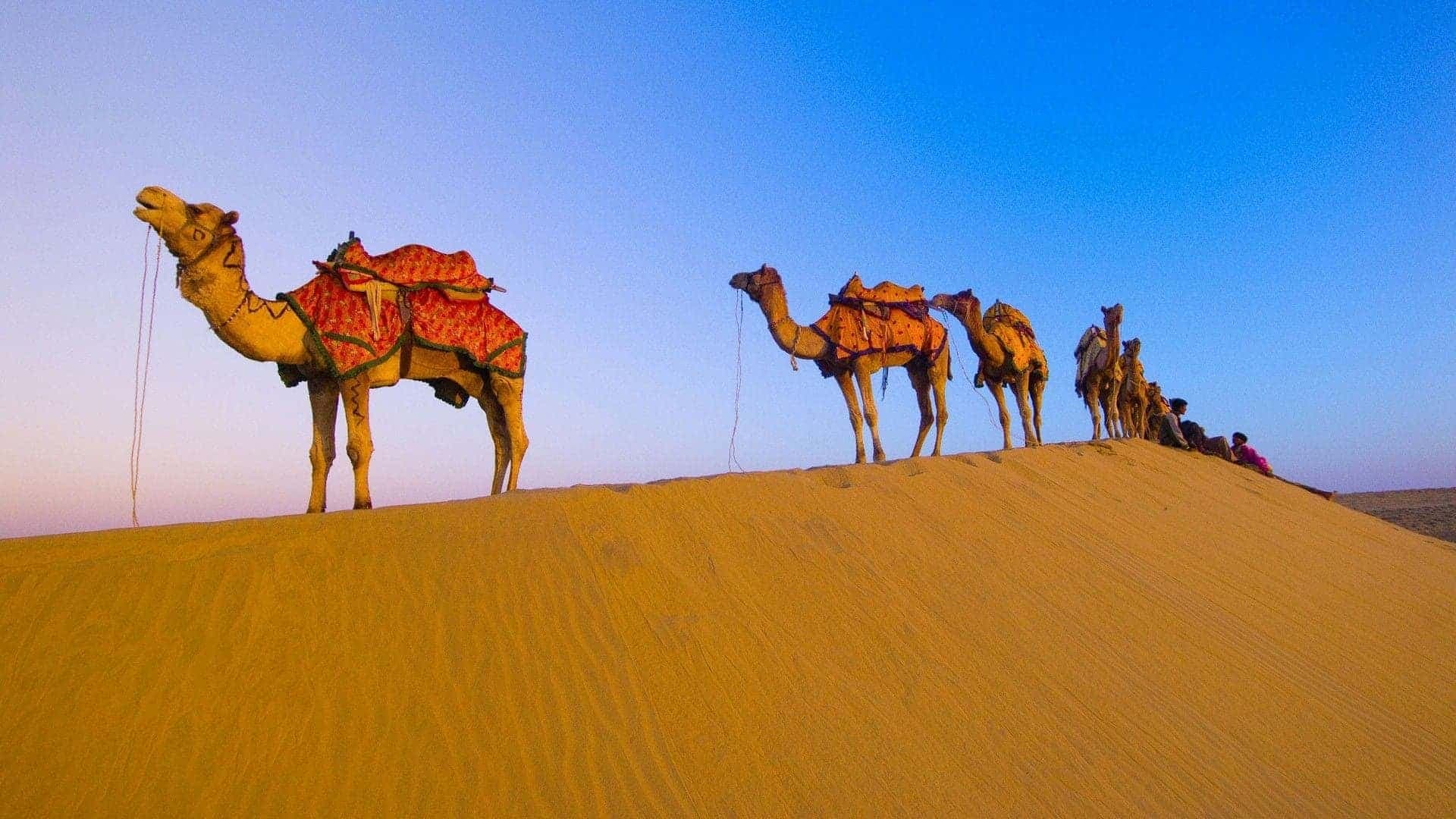 6 Days Udaipur, Jodhpur & Jaisalmer Tour Package – Discover Rajasthan's Golden Heritage in 6 Memorable Days