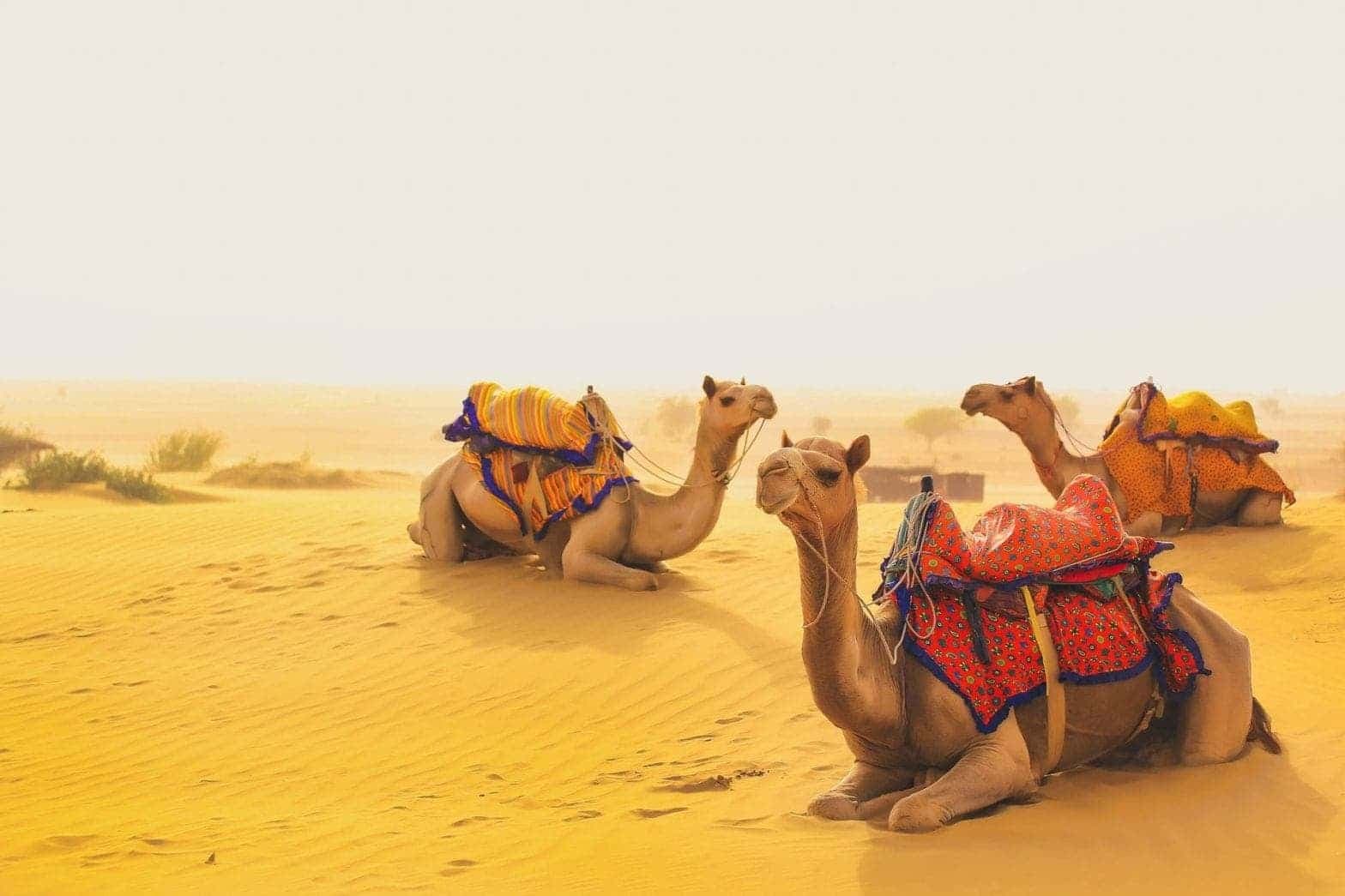 4-Days Jaisalmer Tour