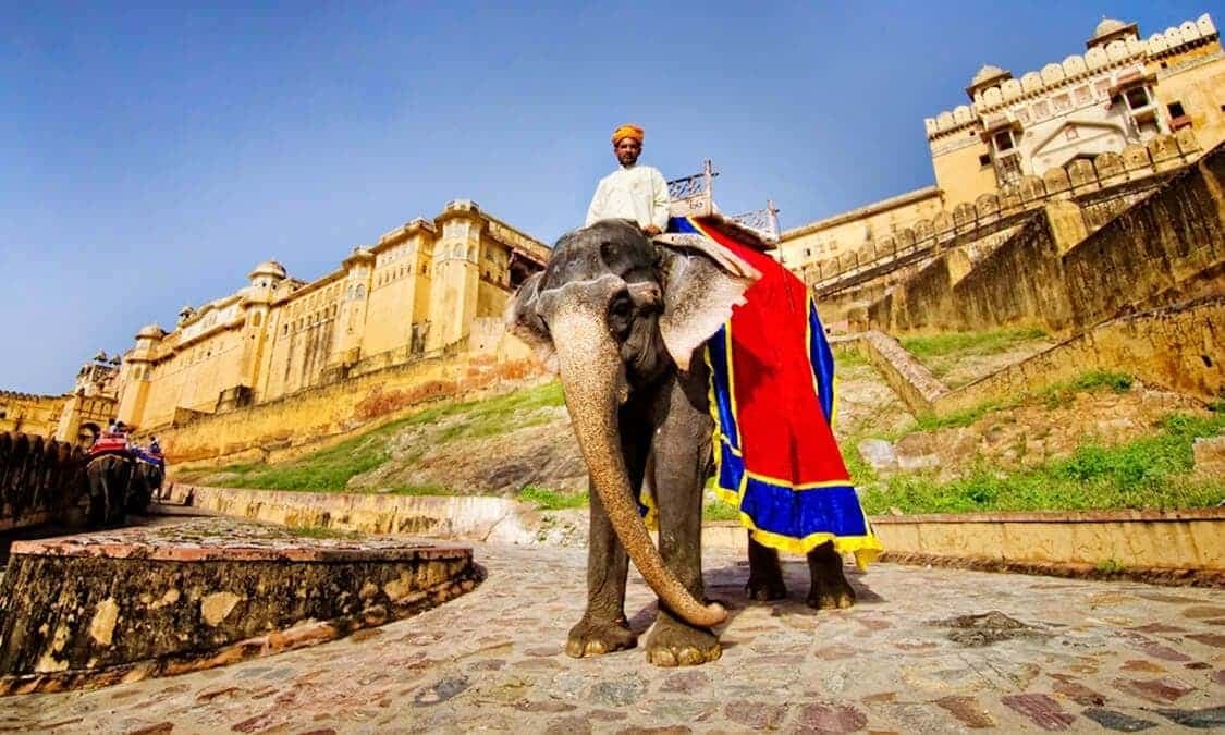 Amber Fort Jaipur
