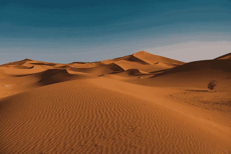 Rajasthan desert tour