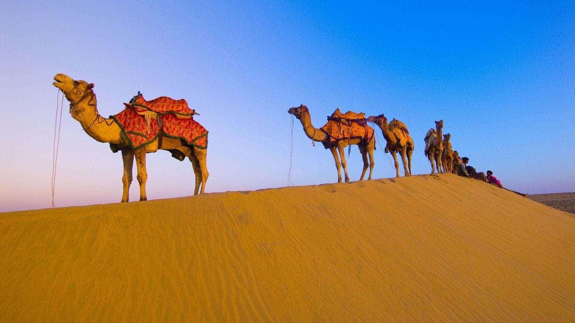 Rajasthan desert scene