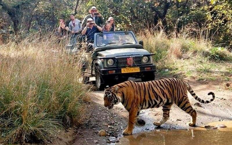 Jaipur, Ranthambore, Udaipur, Mount Abu
