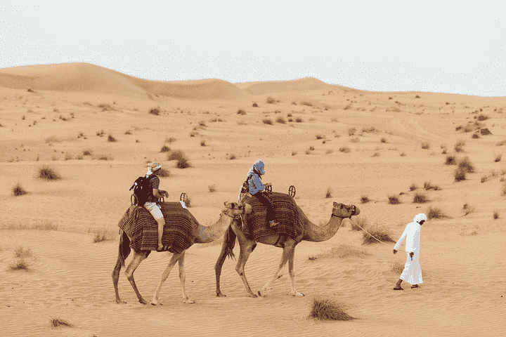 Udaipur, Mount Abu, Jodhpur, Jaisalmer, Bikaner