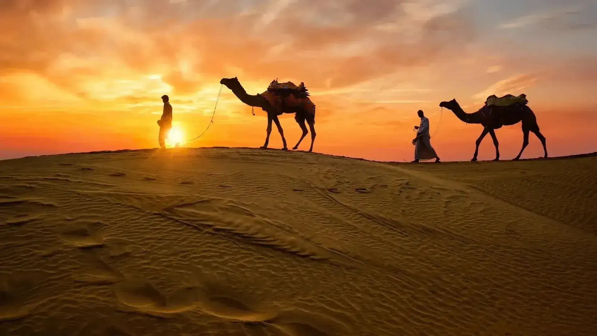 Rajasthan heritage tour