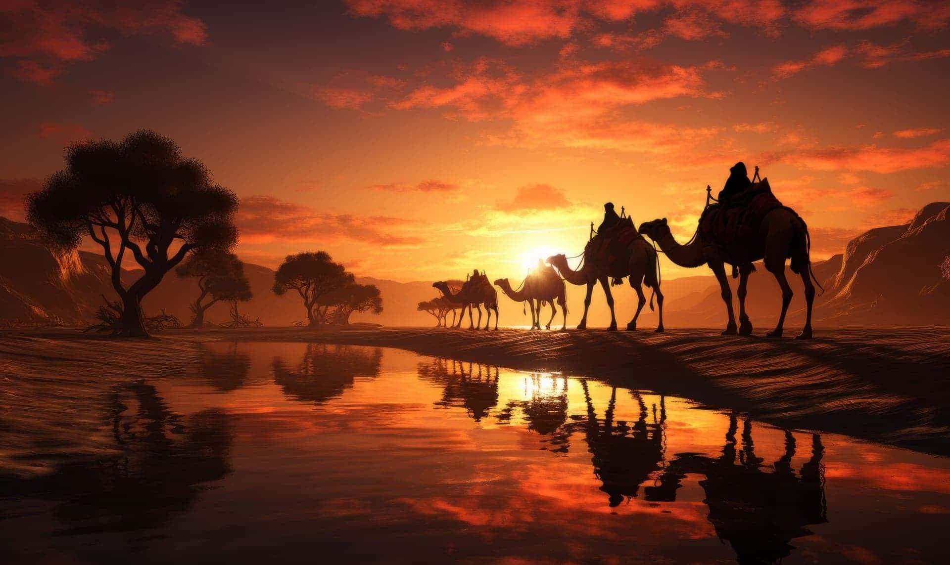 Rajasthan experience