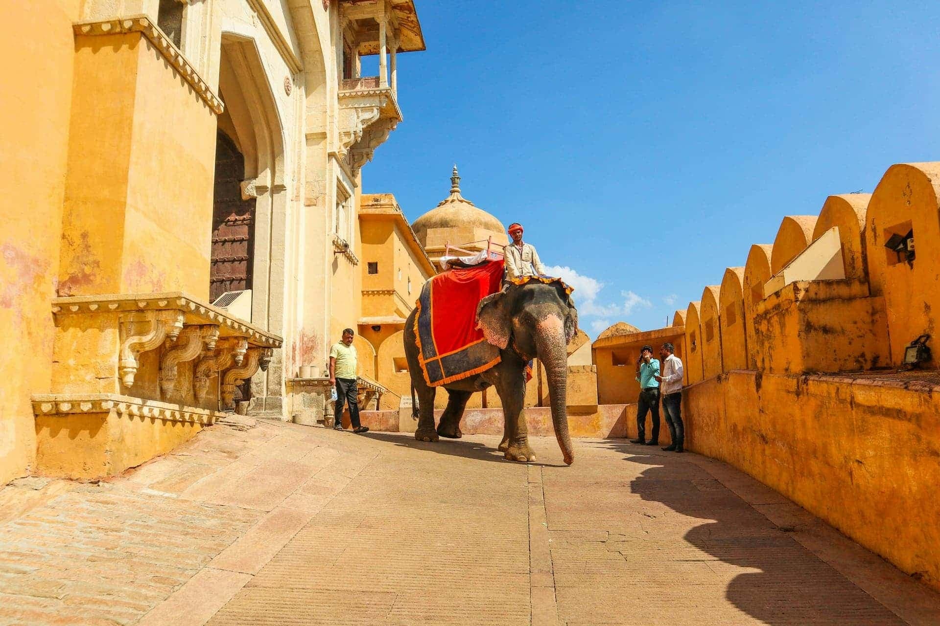 Rajasthan road trip