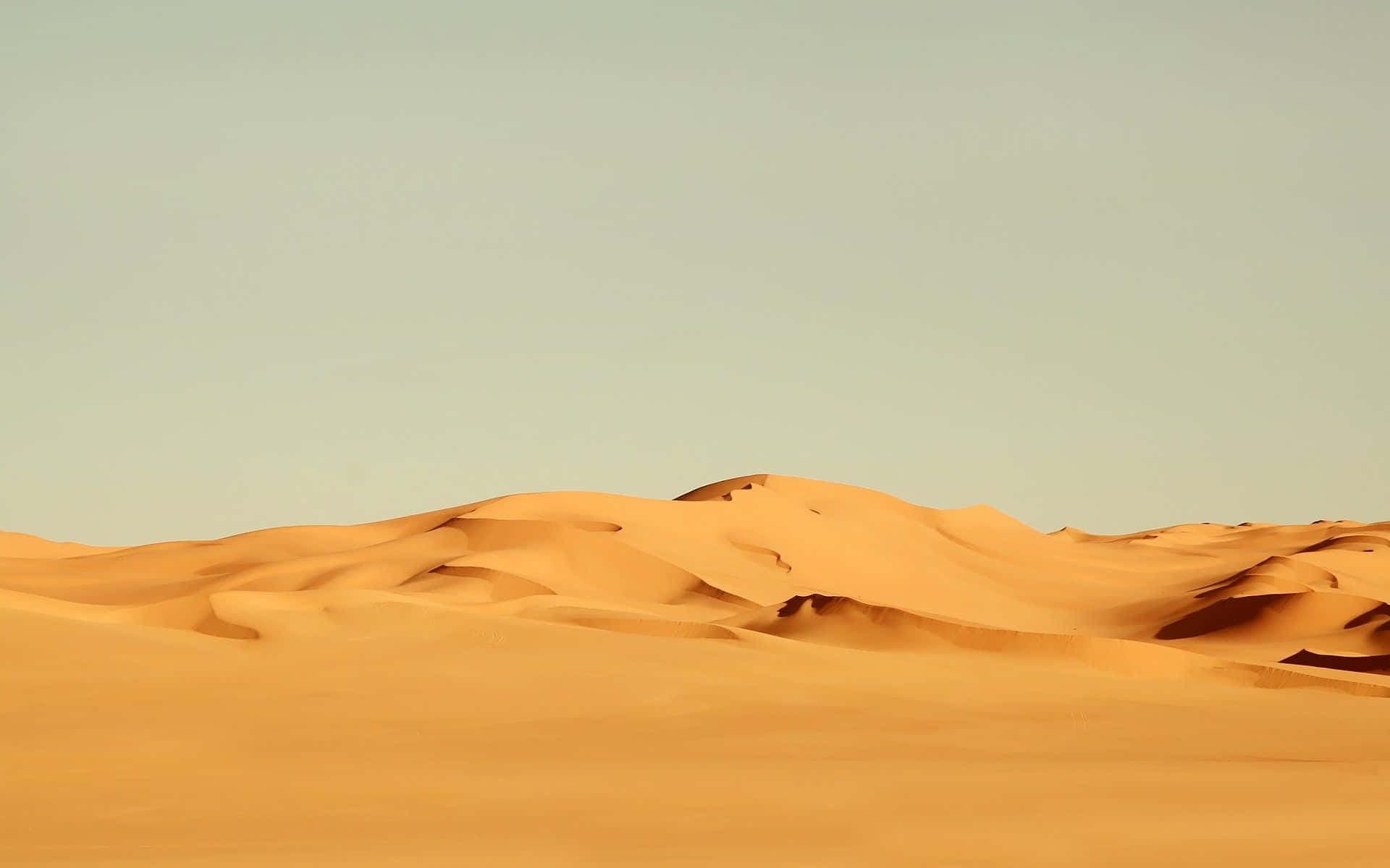 10 Days Rajasthan Tours