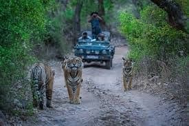 Jaipur, Ranthambhore