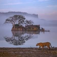 Jaipur, Ranthambhore