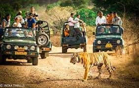 Jaipur, Ranthambhore