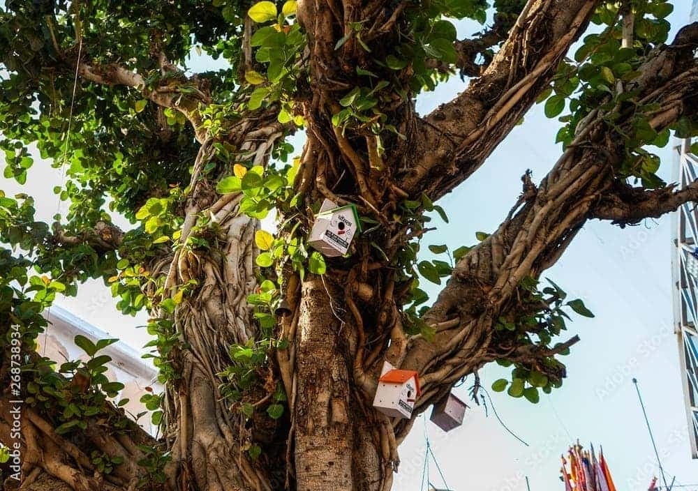 Sikar, Rajasthan
